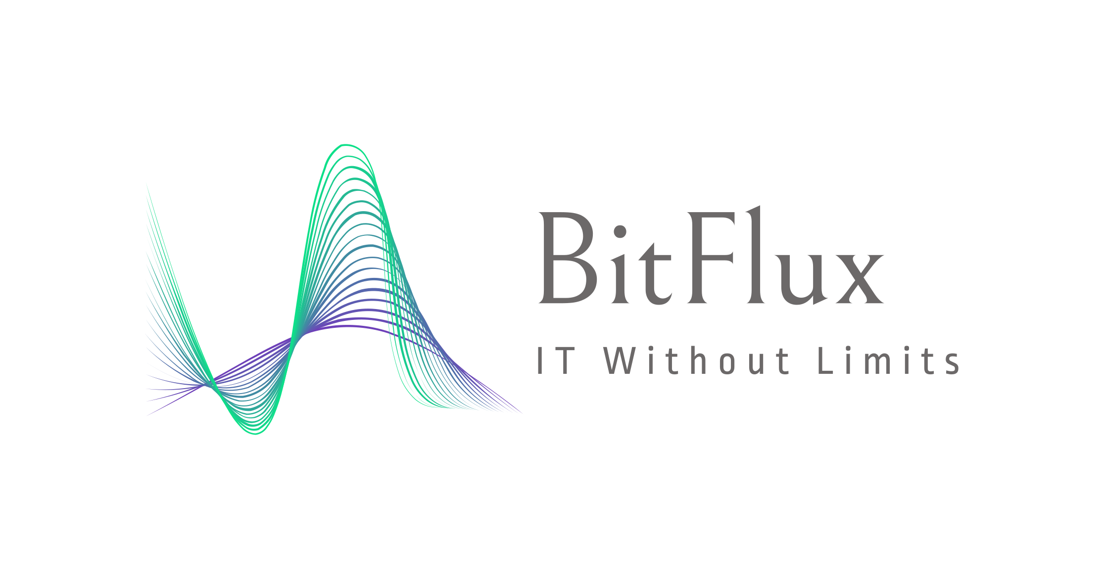 BitFlux